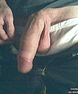 various penises dicks cocks 7