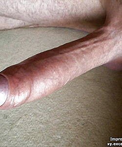 various penises dicks cocks 9