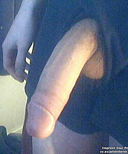 various penises dicks cocks 11