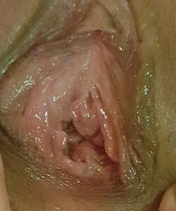 shaved pussy