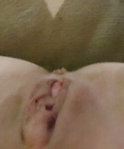 shaved pussy